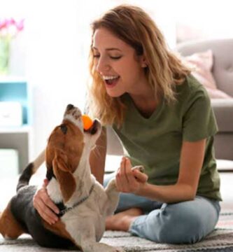 Conoce tus responsabilidades como dueño de una mascota