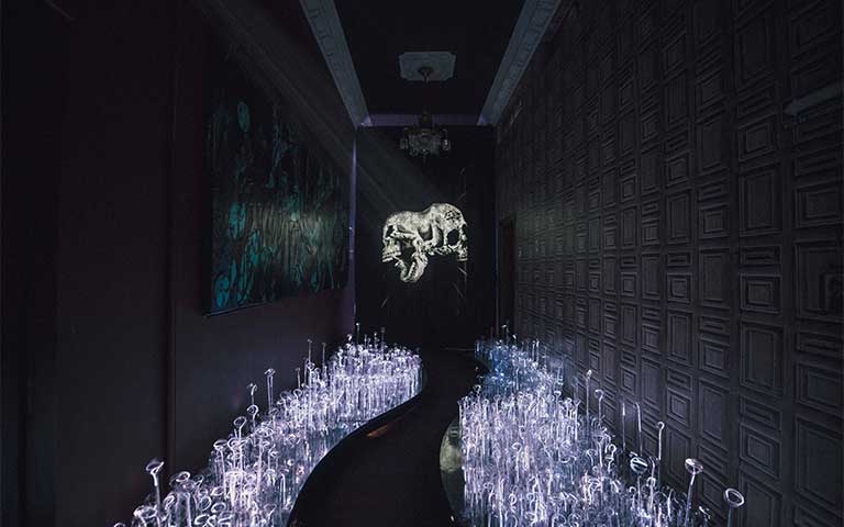 Microenormous, la experiencia multisensorial inmersiva en M&eacute;xico