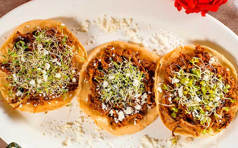 Tostadas de tinga de res con germinados de cebolla, rábano y cilantro gourmet.