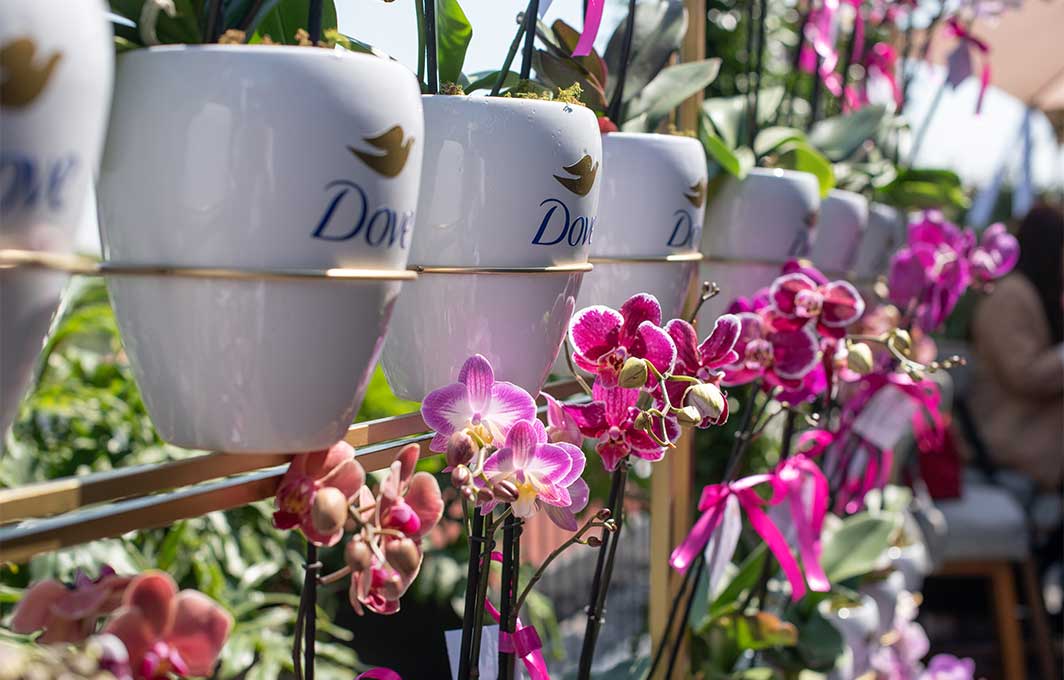 Dove Tono Uniforme Orquídea