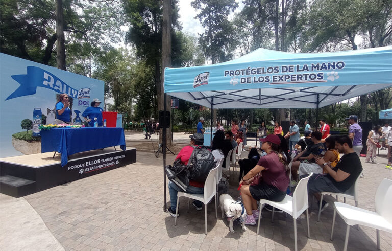 Limpieza segura en un hogar con mascotas
